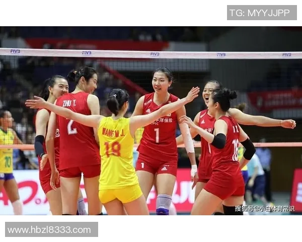 深度对话杨磊揭秘排球人生背后的坚持与梦想